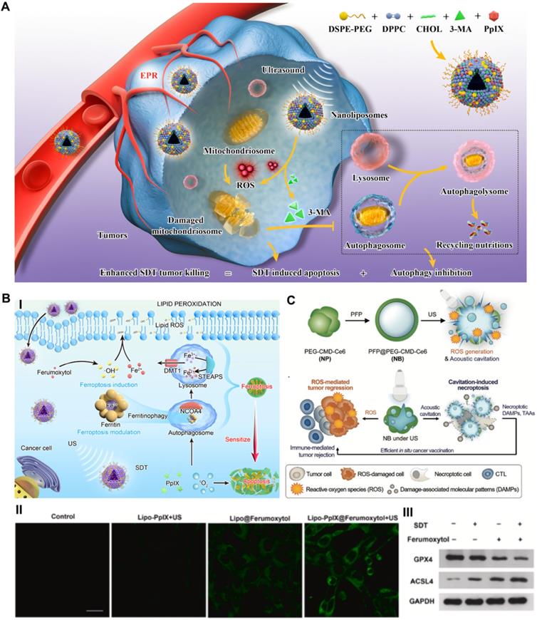 Theranostics Image