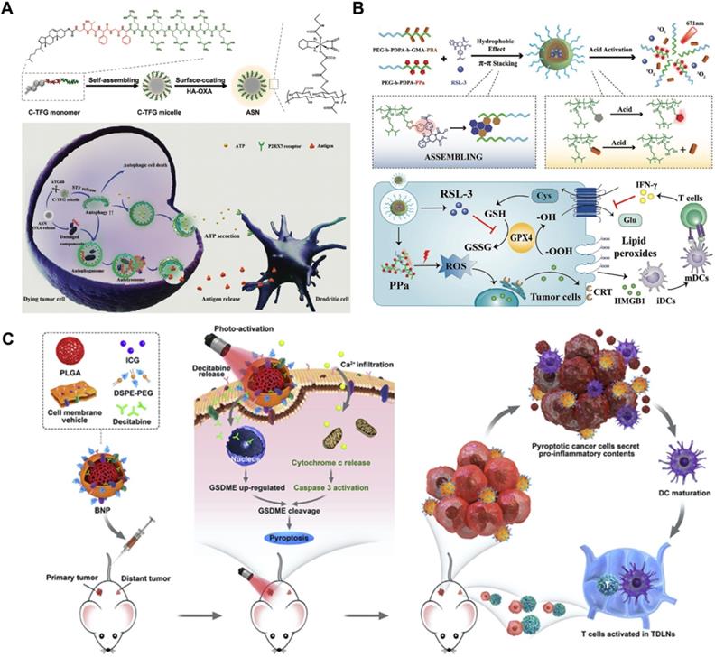 Theranostics Image