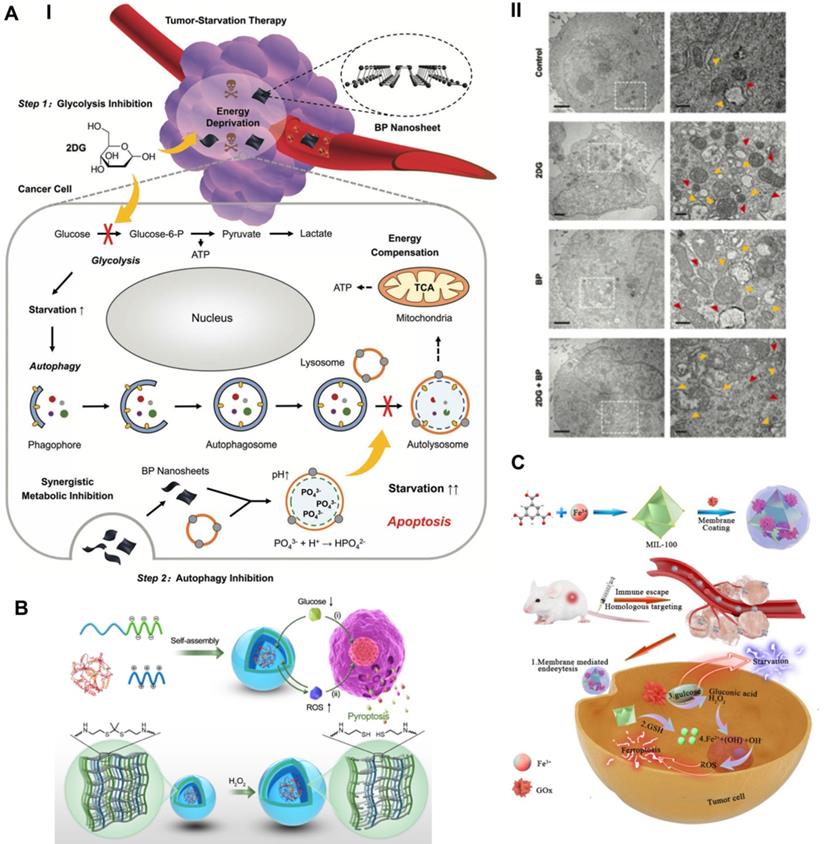 Theranostics Image