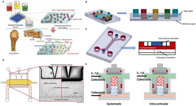 Theranostics Image