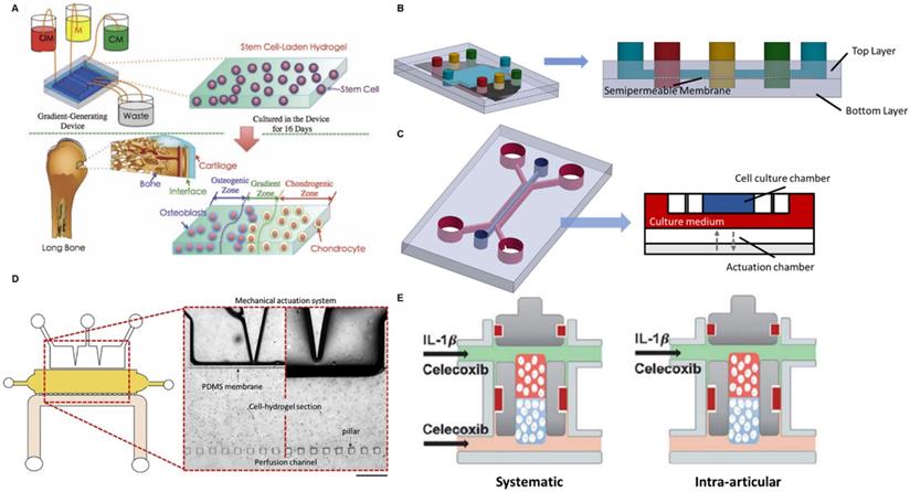Emerging microfluidics-enabled platforms for osteoarthritis management ...