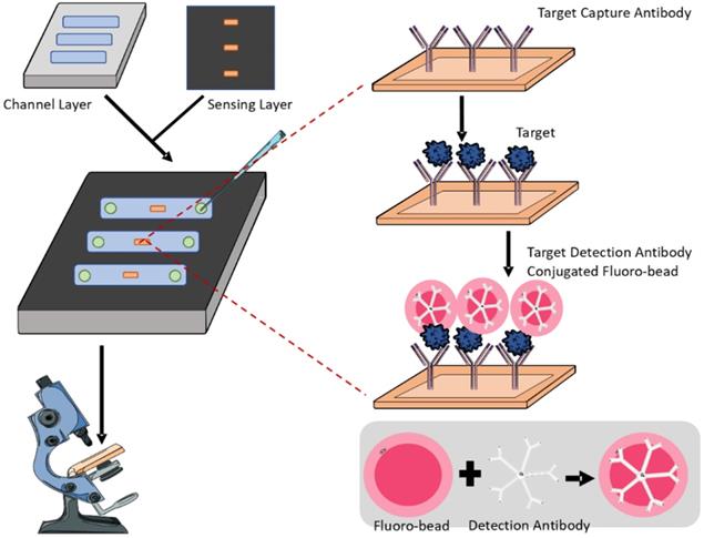 Theranostics Image