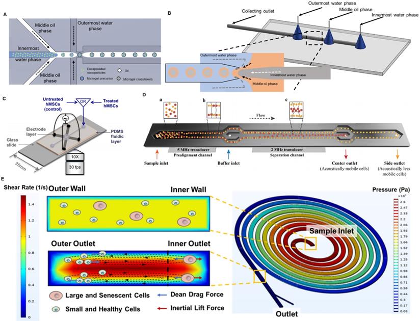 Theranostics Image