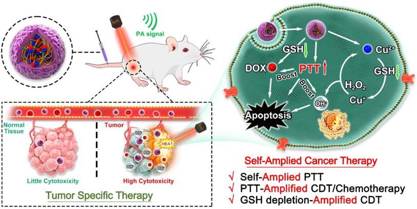 Theranostics Image