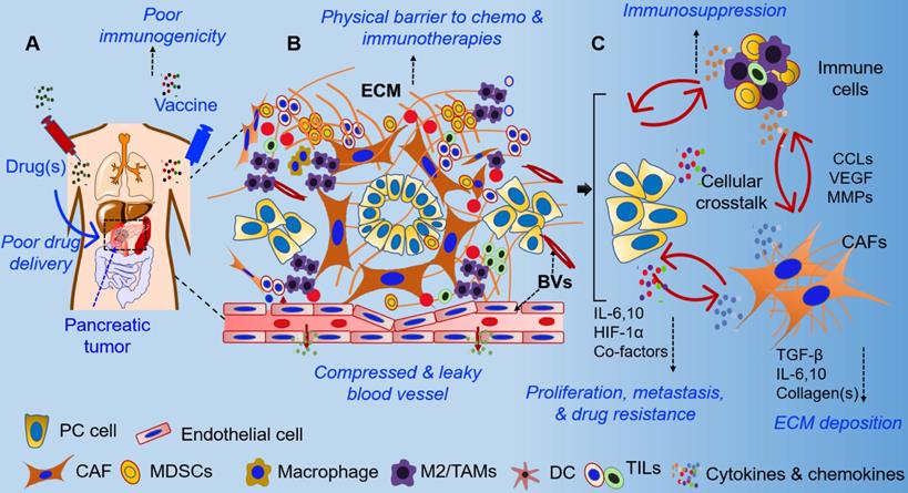 Theranostics Image