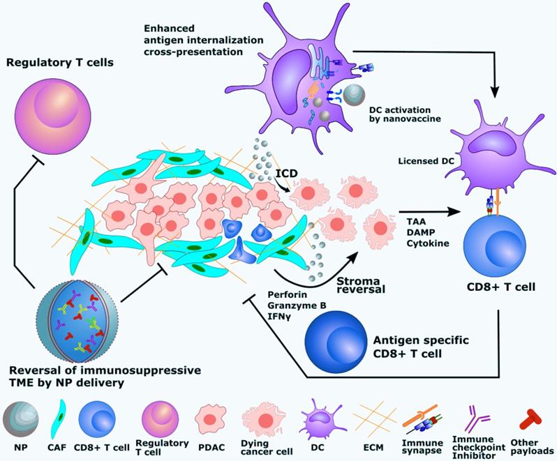 Theranostics Image