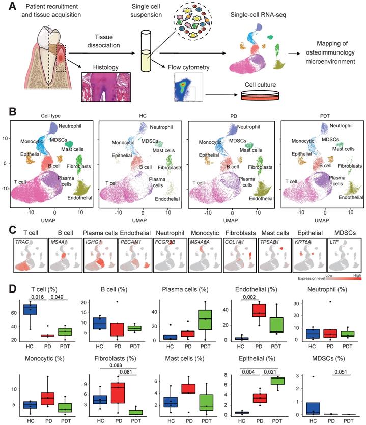 Theranostics Image