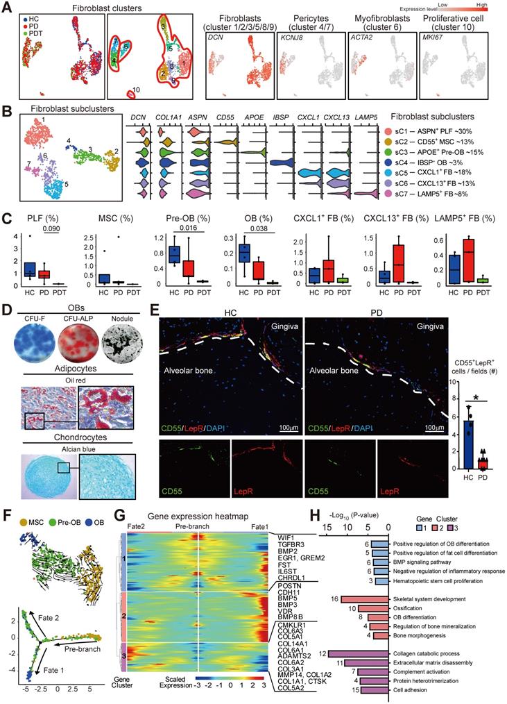 Theranostics Image