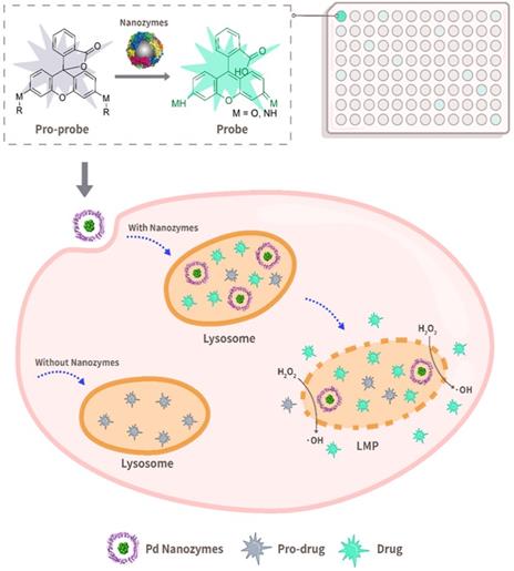 Theranostics Image