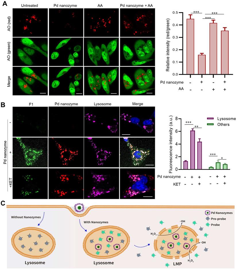 Theranostics Image