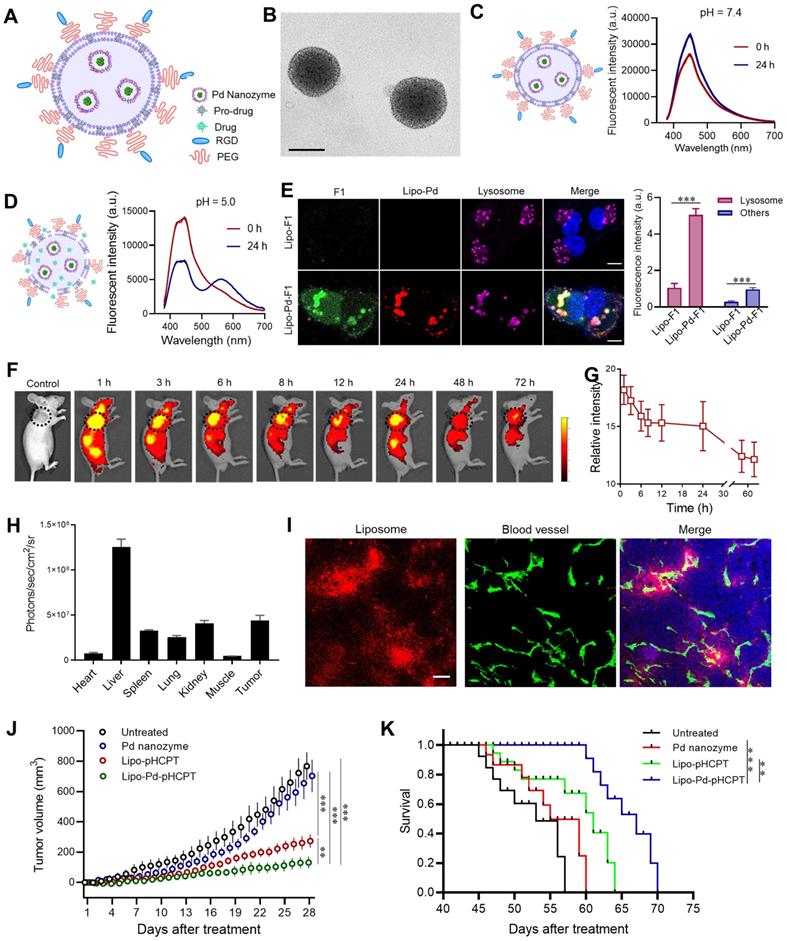 Theranostics Image