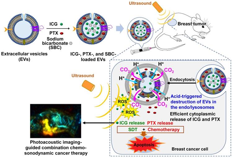 Theranostics Image