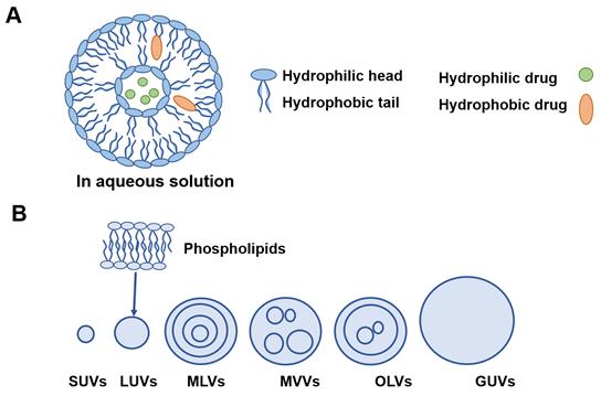 Theranostics Image