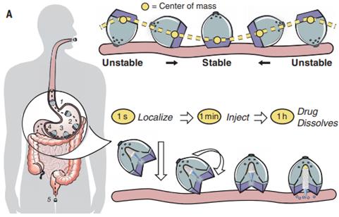 Theranostics Image