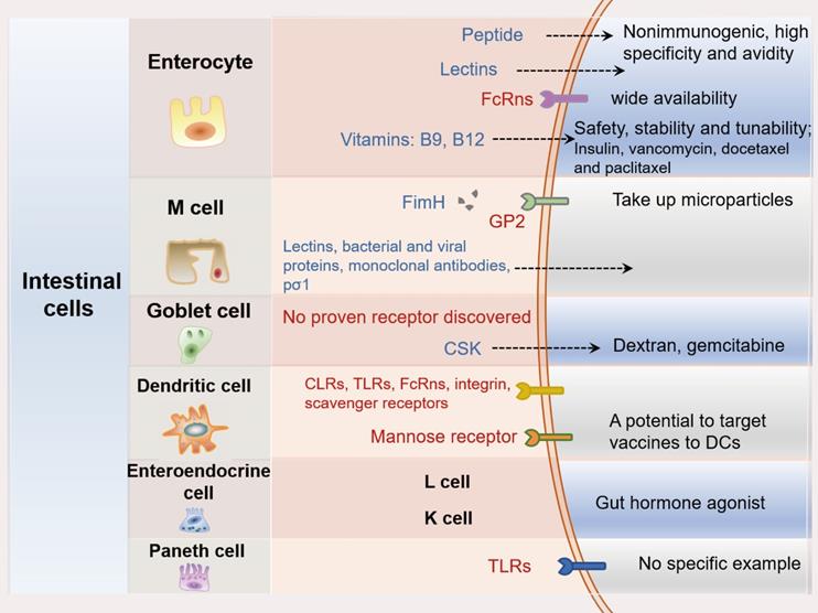 Theranostics Image