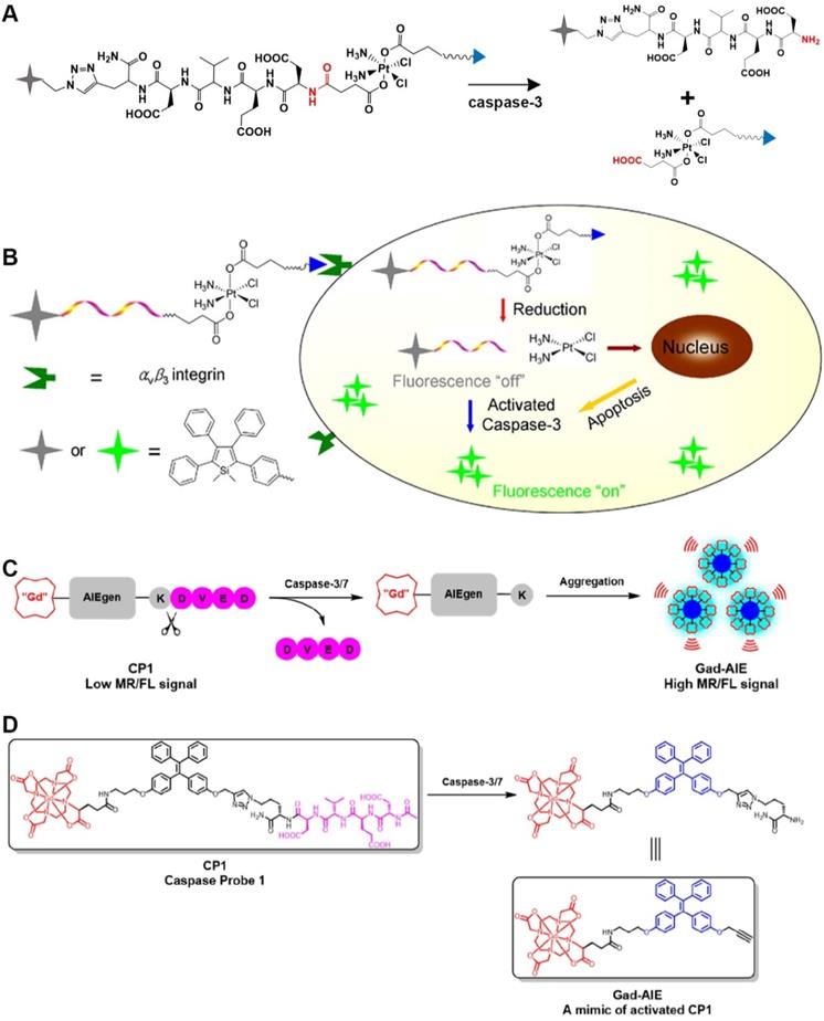 Theranostics Image