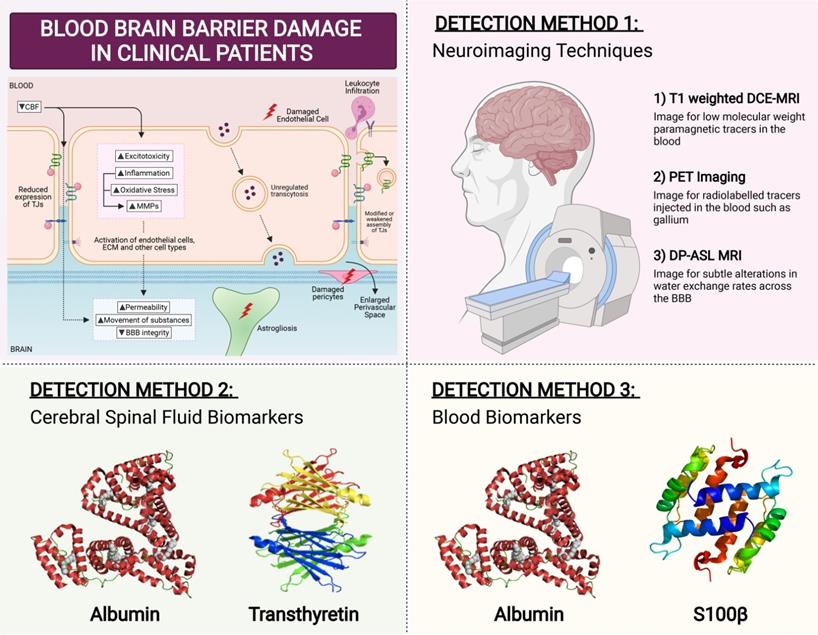 Theranostics Image