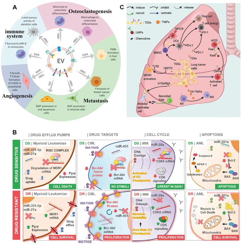 Theranostics Image