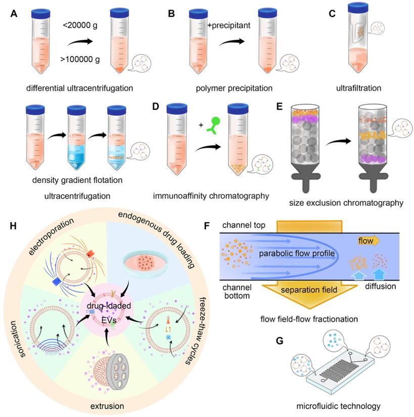 Theranostics Image