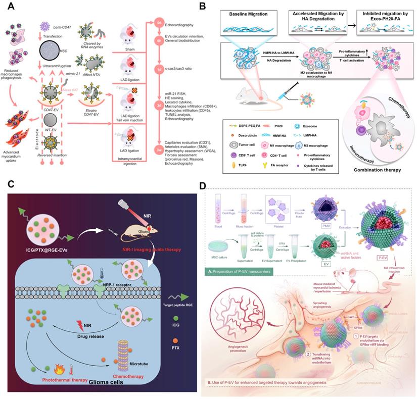 Theranostics Image