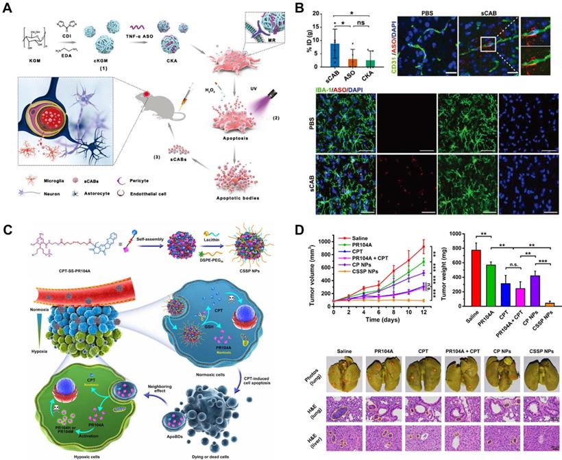 Theranostics Image