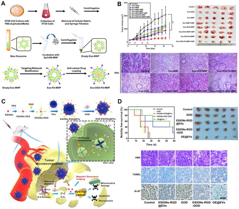 Theranostics Image