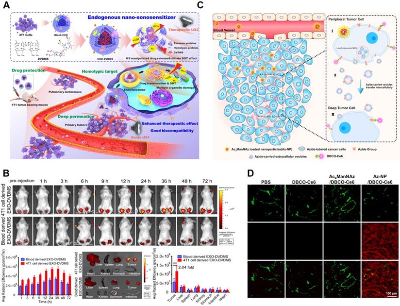 Theranostics Image