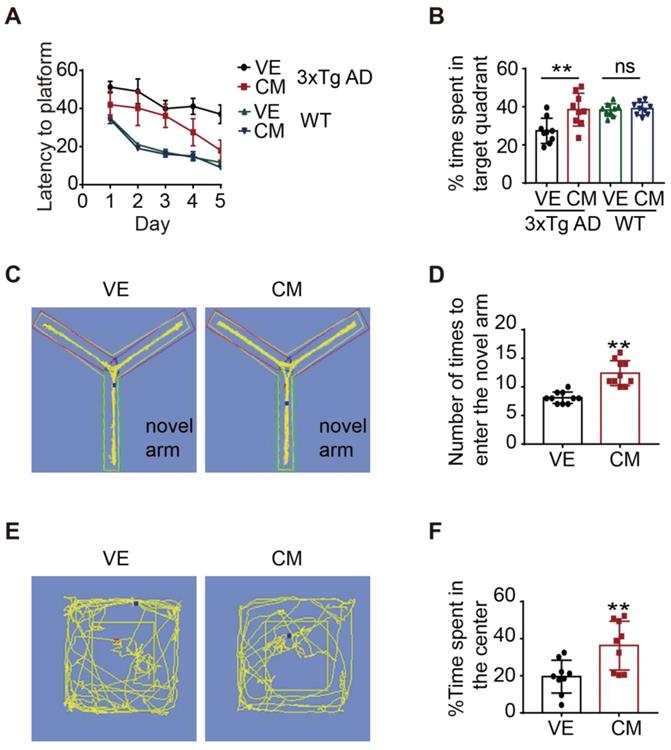 Theranostics Image