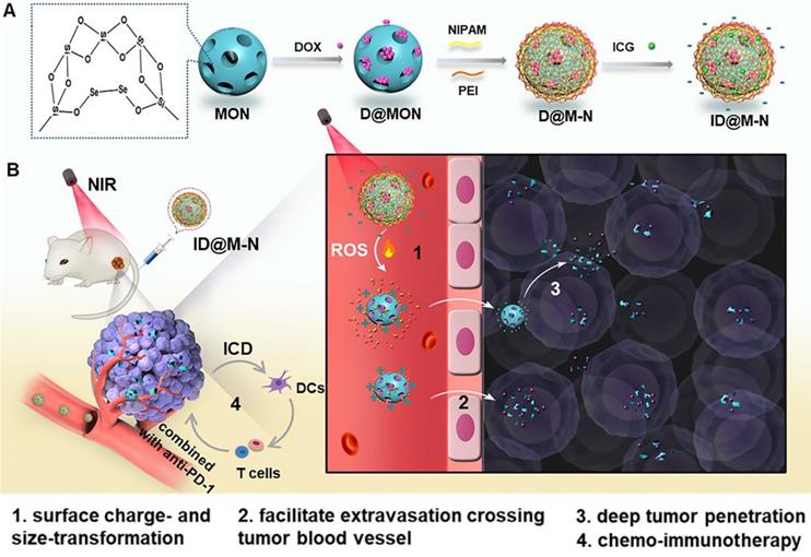 Theranostics Image