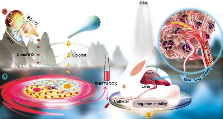 Theranostics Image