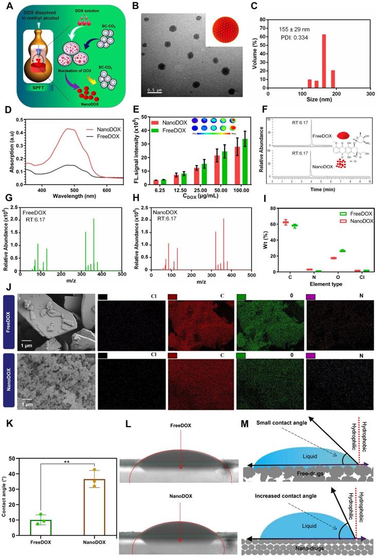 Theranostics Image