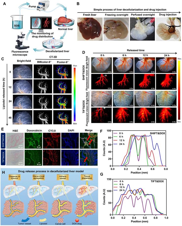 Theranostics Image