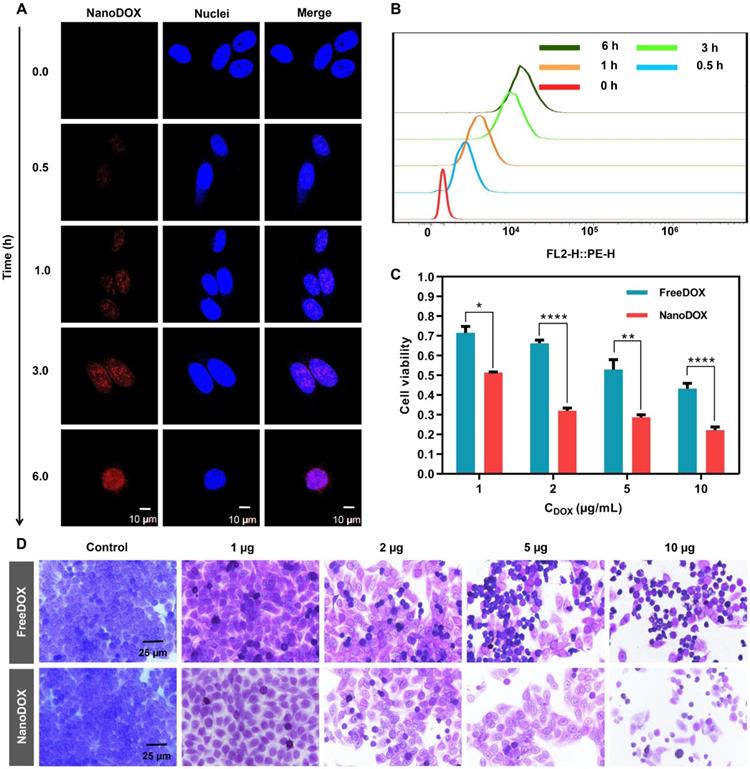 Theranostics Image