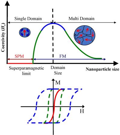 Theranostics Image