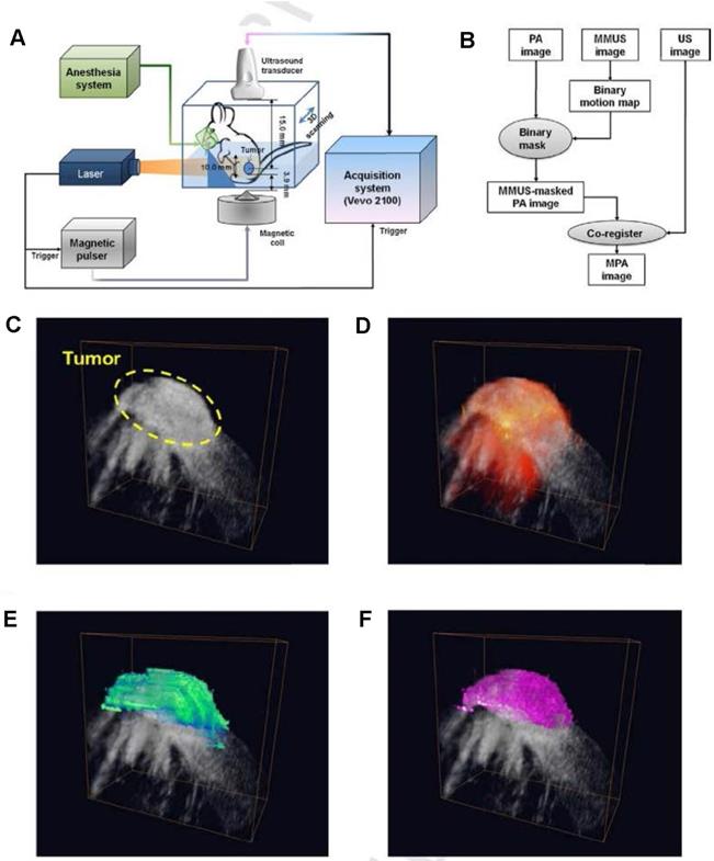 Theranostics Image