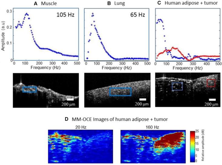 Theranostics Image