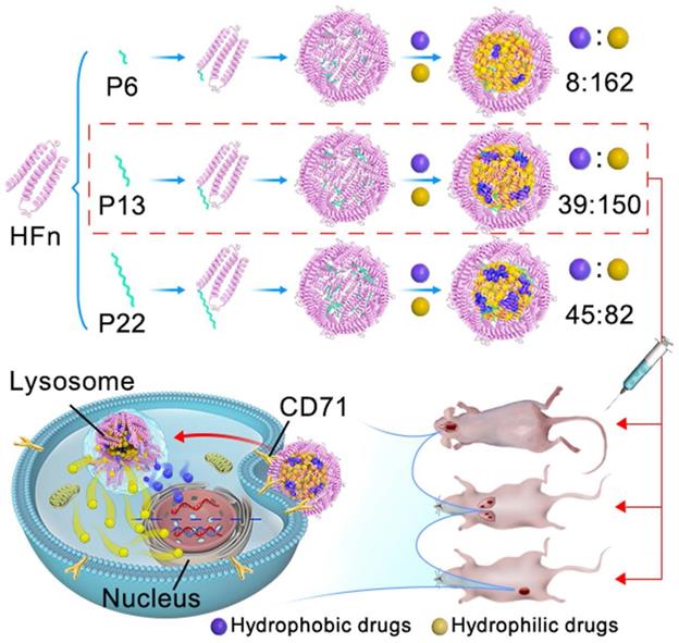 Theranostics Image