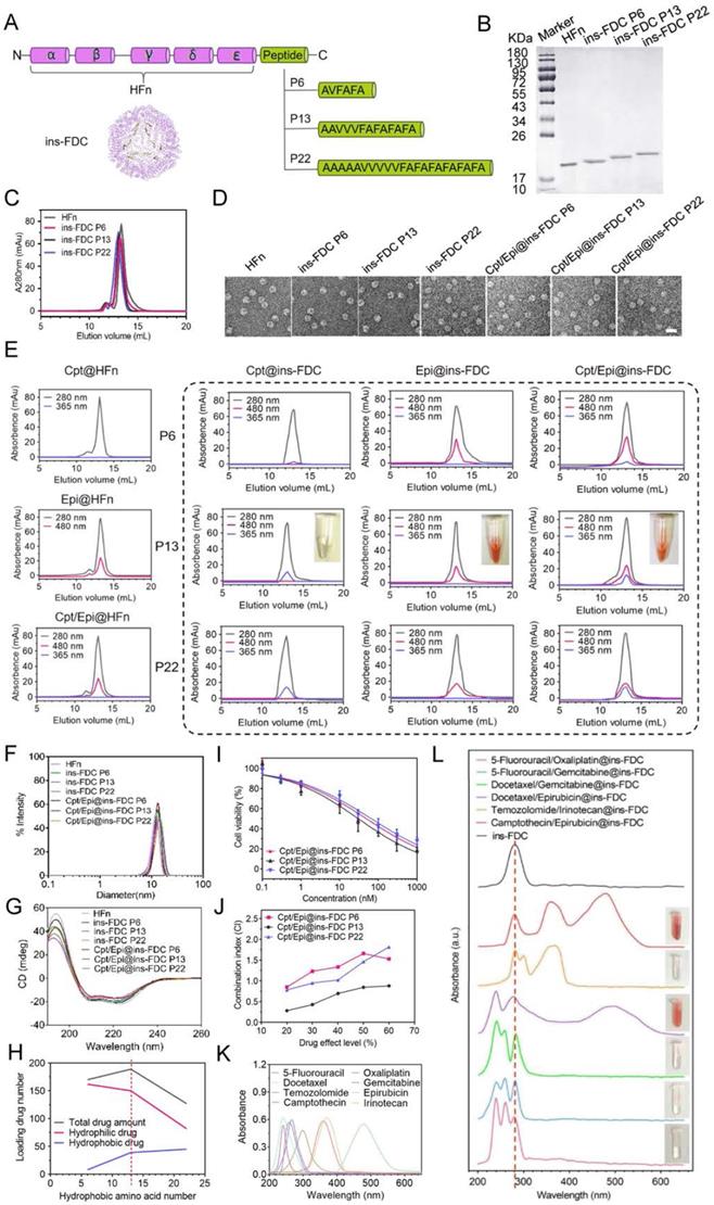 Theranostics Image