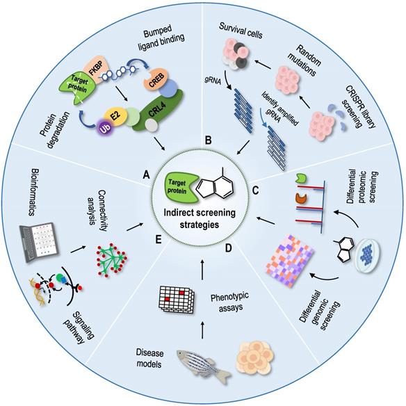 Theranostics Image