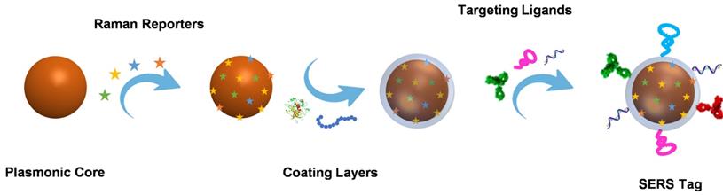 Theranostics Image