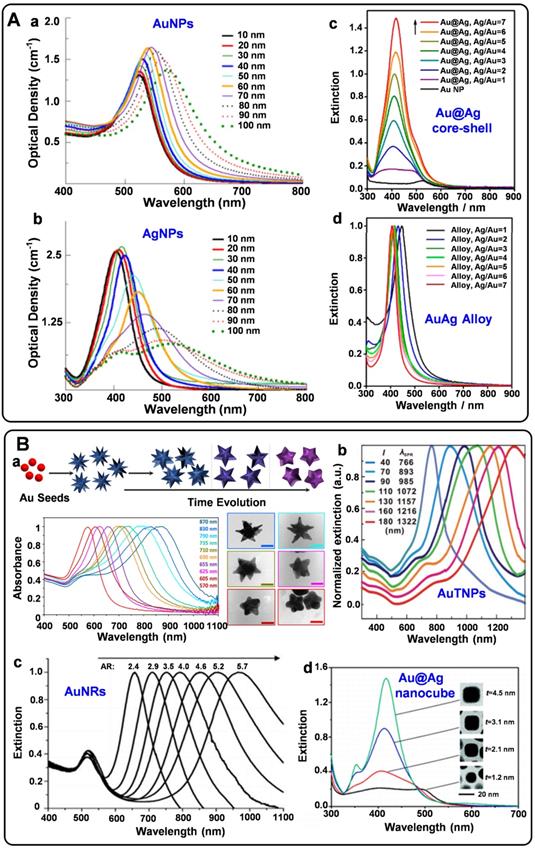 Theranostics Image