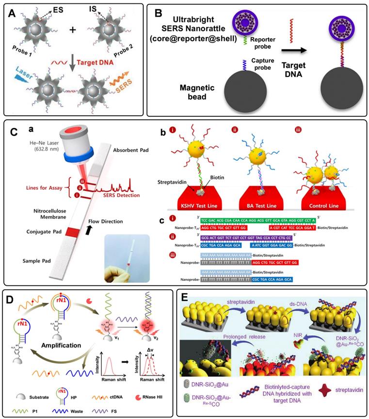 Theranostics Image