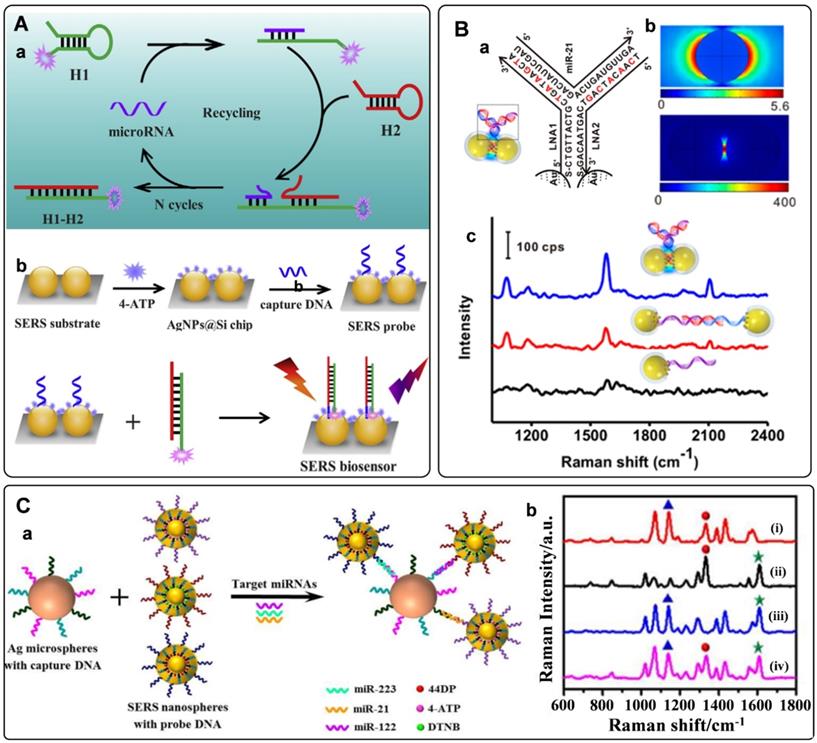 Theranostics Image