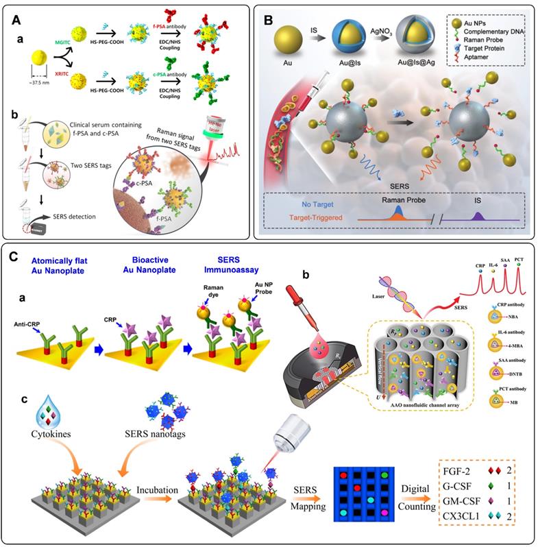 Theranostics Image