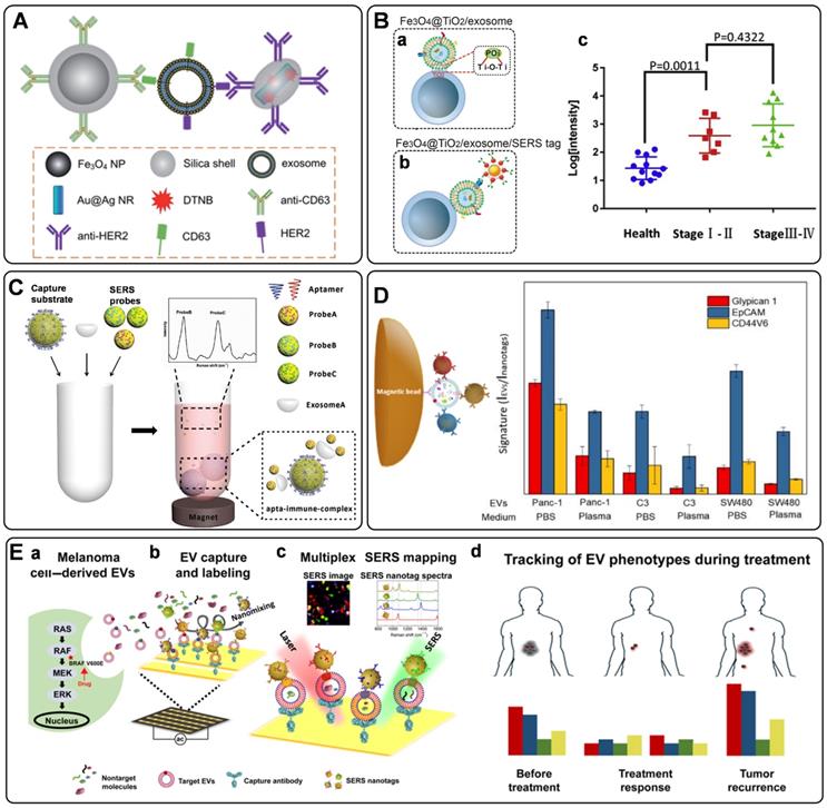 Theranostics Image