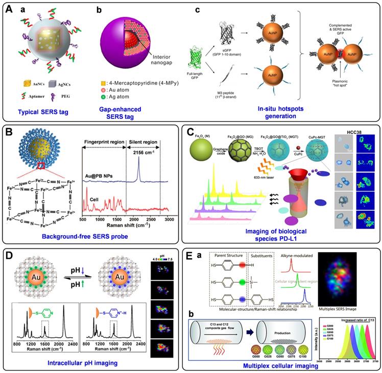 Theranostics Image