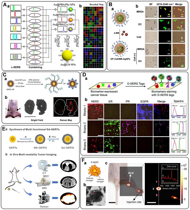 Theranostics Image