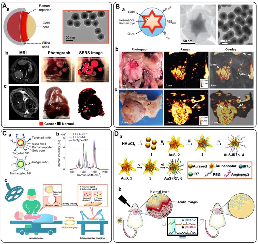 Theranostics Image