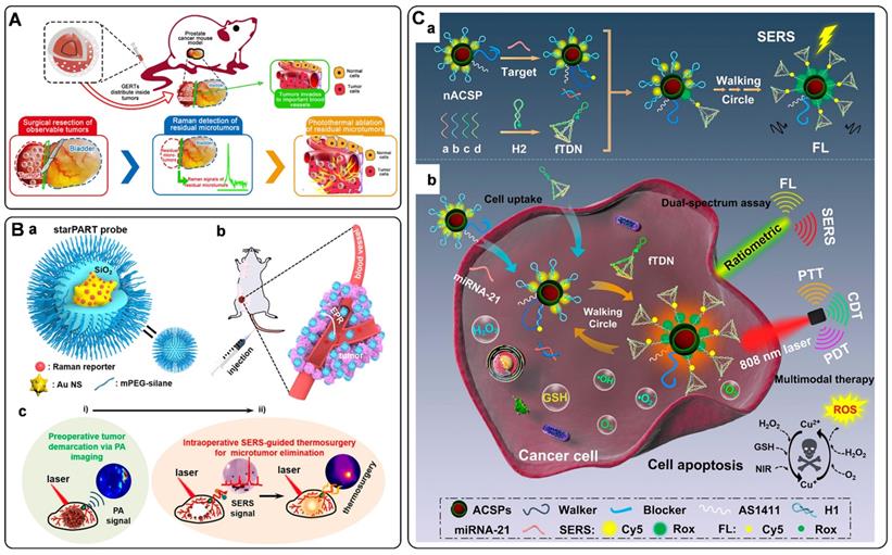 Theranostics Image