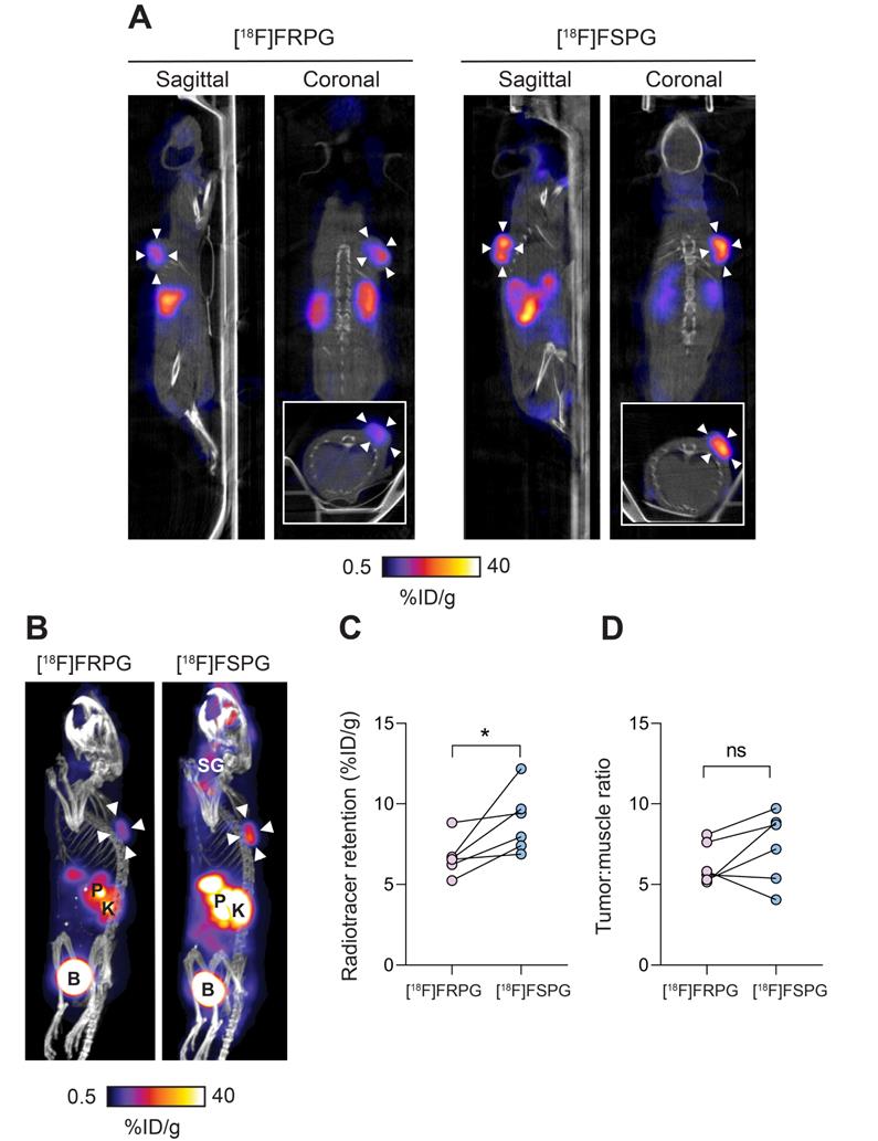 Theranostics Image